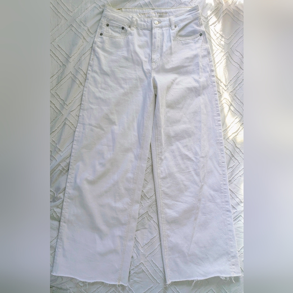 AMERICAN EAGLE STRIGID Wide Leg 4L